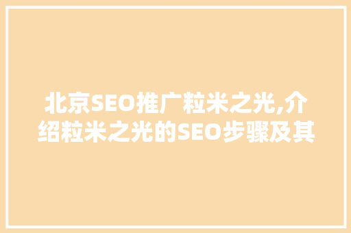 北京SEO推广粒米之光,介绍粒米之光的SEO步骤及其在竞争中的优势