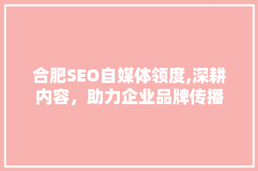 合肥SEO自媒体领度,深耕内容，助力企业品牌传播  第1张