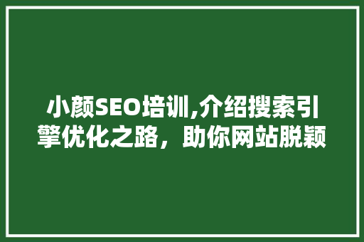 小颜SEO培训,介绍搜索引擎优化之路，助你网站脱颖而出