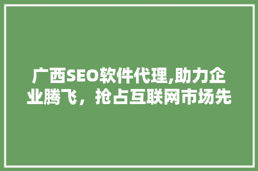 广西SEO软件代理,助力企业腾飞，抢占互联网市场先机