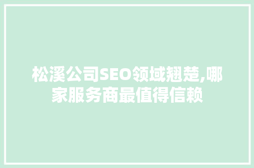 松溪公司SEO领域翘楚,哪家服务商最值得信赖