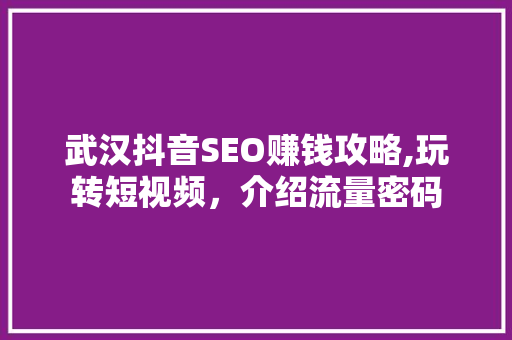 武汉抖音SEO赚钱攻略,玩转短视频，介绍流量密码