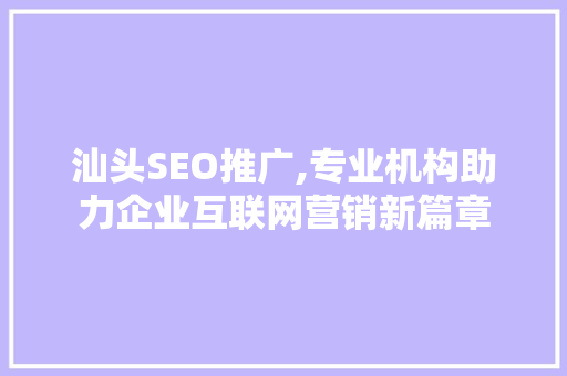 汕头SEO推广,专业机构助力企业互联网营销新篇章