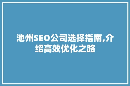 池州SEO公司选择指南,介绍高效优化之路