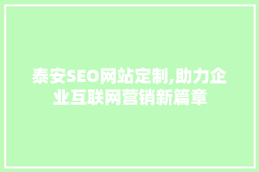 泰安SEO网站定制,助力企业互联网营销新篇章