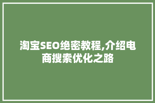 淘宝SEO绝密教程,介绍电商搜索优化之路