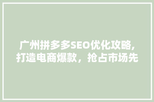 广州拼多多SEO优化攻略,打造电商爆款，抢占市场先机
