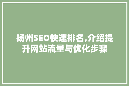扬州SEO快速排名,介绍提升网站流量与优化步骤