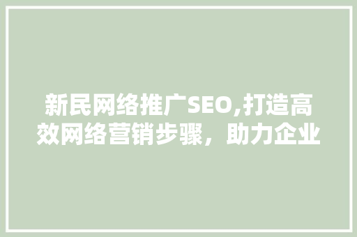 新民网络推广SEO,打造高效网络营销步骤，助力企业腾飞