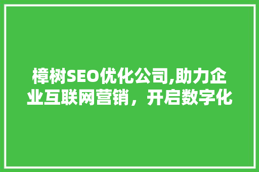 樟树SEO优化公司,助力企业互联网营销，开启数字化转型新篇章