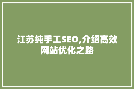 江苏纯手工SEO,介绍高效网站优化之路