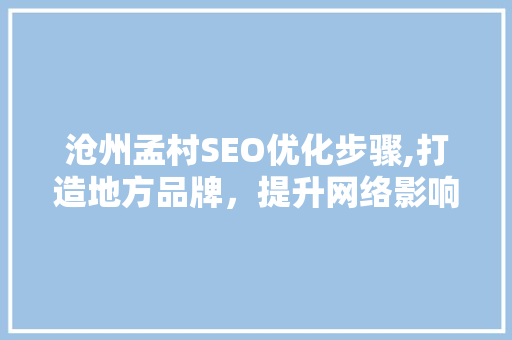 沧州孟村SEO优化步骤,打造地方品牌，提升网络影响力  第1张