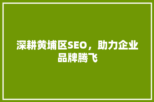 深耕黄埔区SEO，助力企业品牌腾飞