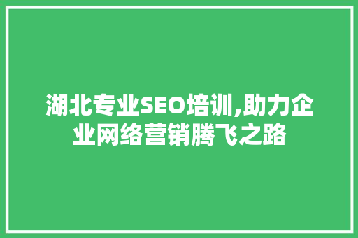 湖北专业SEO培训,助力企业网络营销腾飞之路
