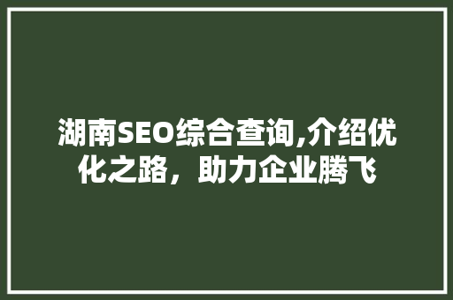 湖南SEO综合查询,介绍优化之路，助力企业腾飞