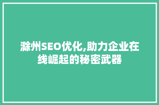 滁州SEO优化,助力企业在线崛起的秘密武器
