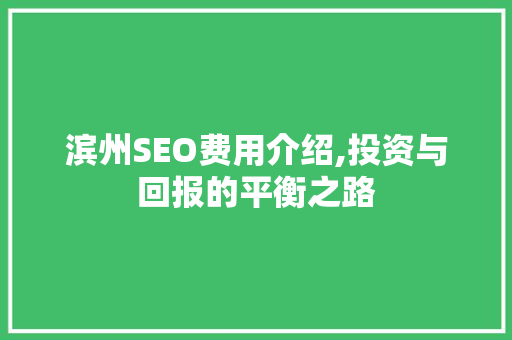 滨州SEO费用介绍,投资与回报的平衡之路