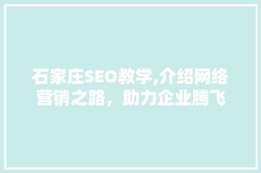 石家庄SEO教学,介绍网络营销之路，助力企业腾飞