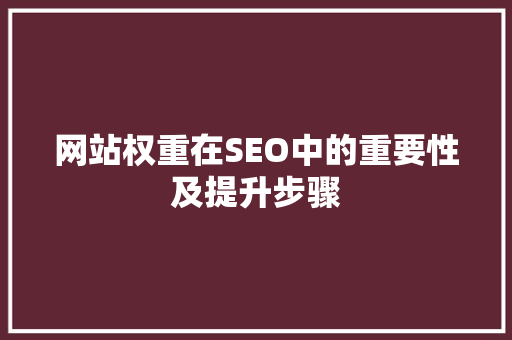 网站权重在SEO中的重要性及提升步骤  第1张