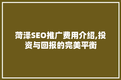 菏泽SEO推广费用介绍,投资与回报的完美平衡