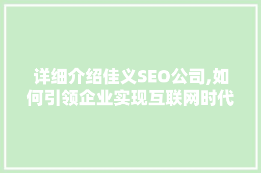 详细介绍佳义SEO公司,如何引领企业实现互联网时代的品牌崛起