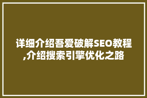 详细介绍吾爱破解SEO教程,介绍搜索引擎优化之路