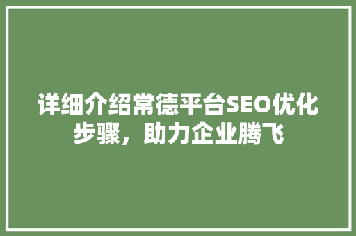 详细介绍常德平台SEO优化步骤，助力企业腾飞