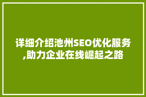 详细介绍池州SEO优化服务,助力企业在线崛起之路