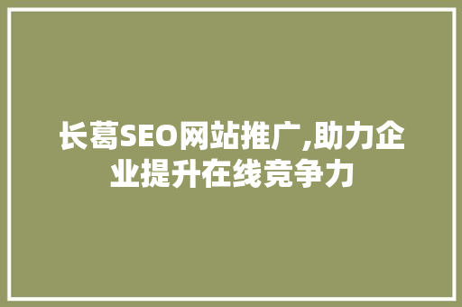 长葛SEO网站推广,助力企业提升在线竞争力
