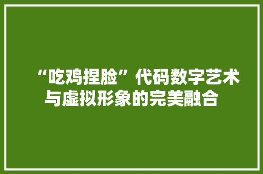 “吃鸡捏脸”代码数字艺术与虚拟形象的完美融合