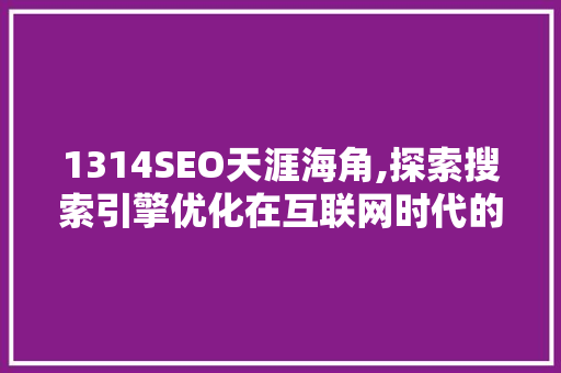 1314SEO天涯海角,探索搜索引擎优化在互联网时代的新境界