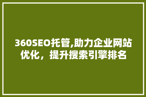 360SEO托管,助力企业网站优化，提升搜索引擎排名
