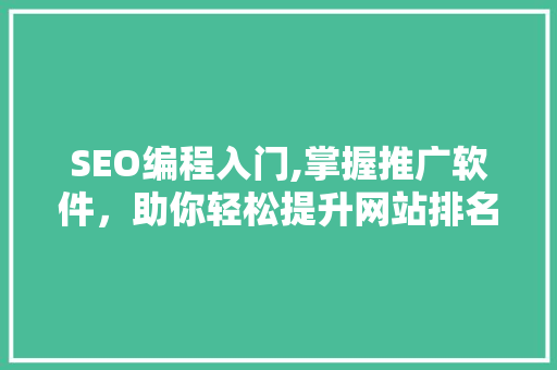 SEO编程入门,掌握推广软件，助你轻松提升网站排名  第1张
