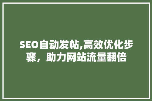SEO自动发帖,高效优化步骤，助力网站流量翻倍