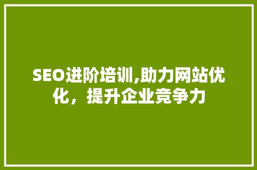 SEO进阶培训,助力网站优化，提升企业竞争力