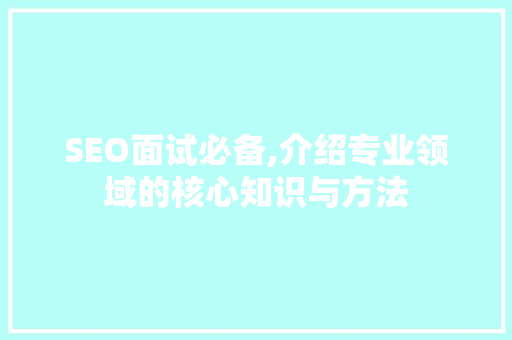 SEO面试必备,介绍专业领域的核心知识与方法
