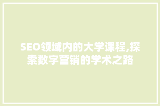 SEO领域内的大学课程,探索数字营销的学术之路
