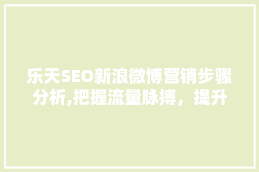 乐天SEO新浪微博营销步骤分析,把握流量脉搏，提升品牌影响力