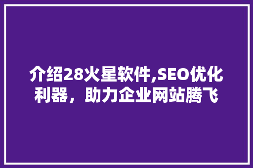 介绍28火星软件,SEO优化利器，助力企业网站腾飞