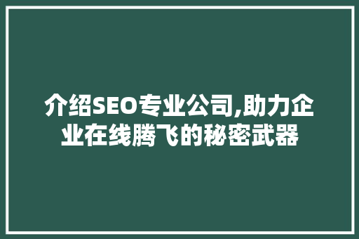 介绍SEO专业公司,助力企业在线腾飞的秘密武器