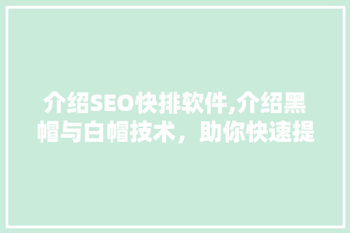 介绍SEO快排软件,介绍黑帽与白帽技术，助你快速提升网站排名
