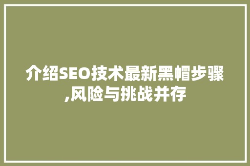 介绍SEO技术最新黑帽步骤,风险与挑战并存