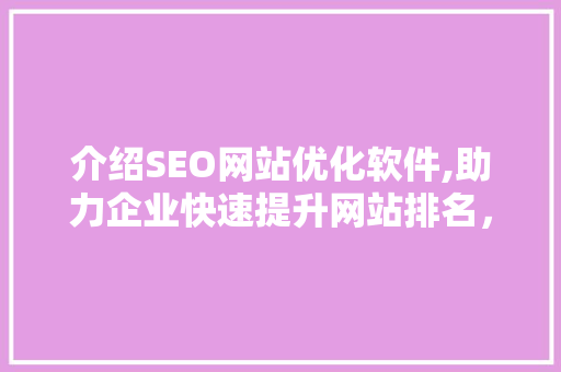介绍SEO网站优化软件,助力企业快速提升网站排名，抢占市场先机