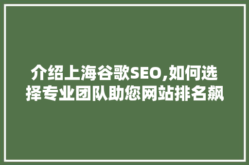 介绍上海谷歌SEO,如何选择专业团队助您网站排名飙升