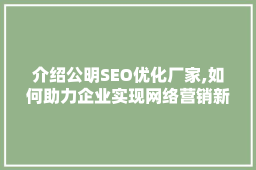 介绍公明SEO优化厂家,如何助力企业实现网络营销新突破