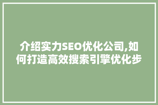 介绍实力SEO优化公司,如何打造高效搜索引擎优化步骤  第1张