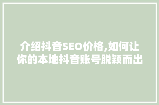 介绍抖音SEO价格,如何让你的本地抖音账号脱颖而出