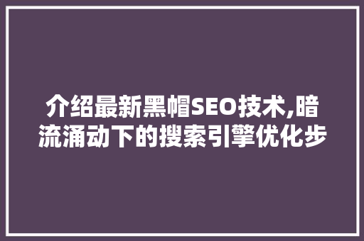 介绍最新黑帽SEO技术,暗流涌动下的搜索引擎优化步骤