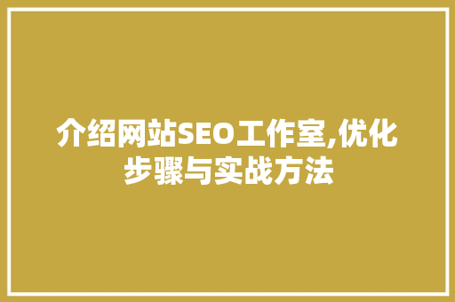 介绍网站SEO工作室,优化步骤与实战方法