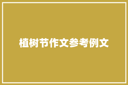 代码G9现代编程的魅力与挑战